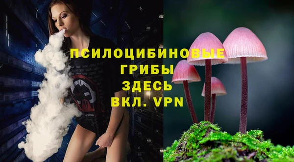 спиды Медвежьегорск