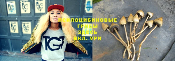 герыч Медногорск